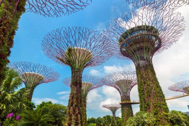 SINGAPORE - 23 Haziran 2019 