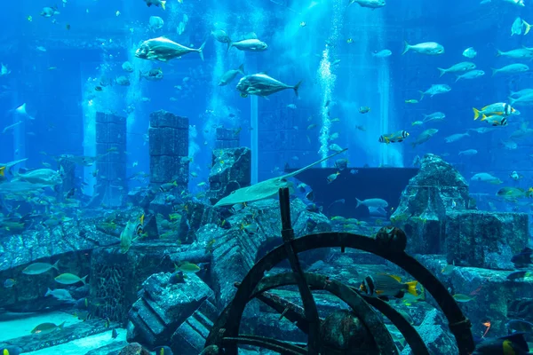 Dubai Eae Április 2020 Elveszett Kamrák Nagy Akvárium Hotel Atlantis — Stock Fotó