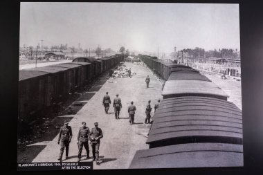 OSWIECIM, POLAND - 7 Eylül 2022: güneşli bir günde Auschwitz toplama kampında fotoğraf sergisi, Oswiecim, Polonya