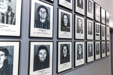 OSWIECIM, POLAND - 7 Eylül 2022: güneşli bir günde Auschwitz toplama kampındaki mahkumların fotoğraf galerisi, Oswiecim, Polonya