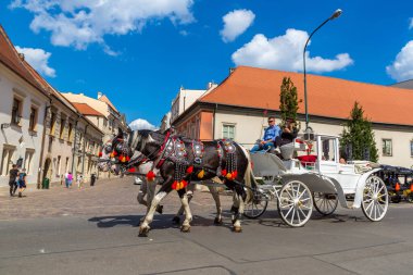 KRAKOW, POLAND - 9 Eylül 2022: güneşli bir günde Krakow, Polonya 'da at arabaları