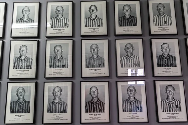 Oswiecim Poland September 2022 Photo Gallery Prisoners Auschwitz Concentration Camp — 图库照片
