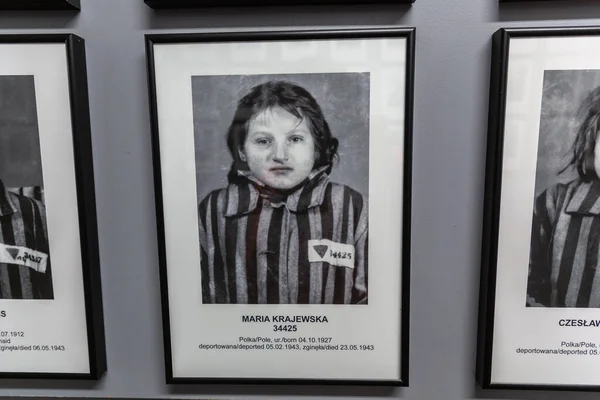 Oswiecim Poland September 2022 Photo Gallery Prisoners Auschwitz Concentration Camp — 图库照片