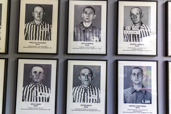 Oswiecim Polen September 2022 Fotogalerij Van Gevangenen Concentratiekamp Auschwitz Een — Stockfoto