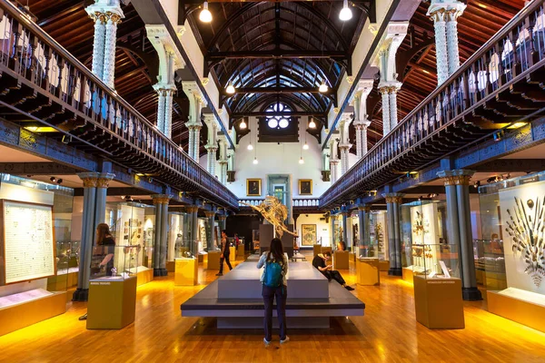Glasgow Ngiltere Haziran 2022 Glasgow Üniversitesi Ndeki Hunterian Müzesi Skoçya — Stok fotoğraf
