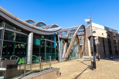 SHEFFIELD, İngiltere - 16 Haziran 2022: Kış Bahçesi - Sheffield, Güney Yorkshire, İngiltere 'deki en büyük ılıman cam evlerden biri