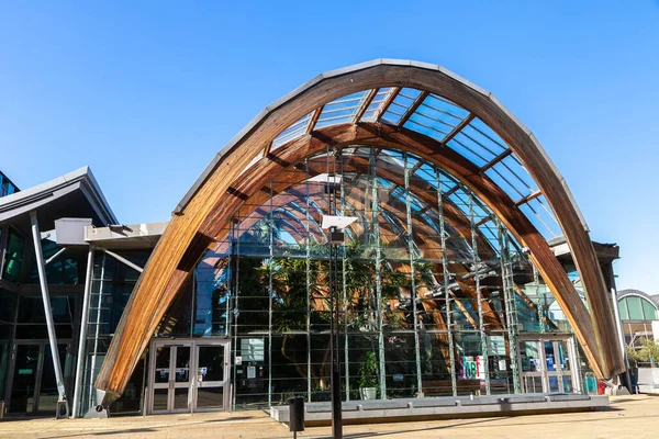Sheffield June 2022 Winter Garden One Largest Temperate Glasshouses Sheffield — Stock Photo, Image