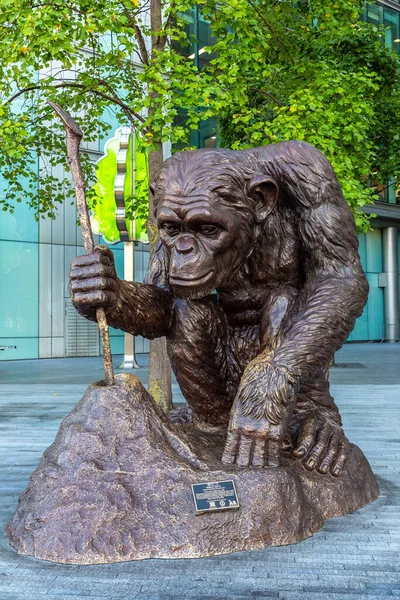 Londýn Velká Británie Června 2022 Opičí Socha Šimpanzů Při Západu — Stock fotografie
