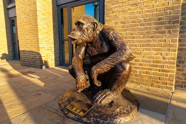Londra Regno Unito Giugno 2022 Scimpanzé Scimmia Statua Tramonto Londra — Foto Stock