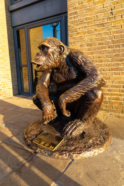 London June 2022 Chimps Monkey Statue Sunset London — Stock Photo, Image