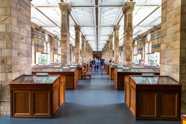 LONDON, İngiltere - 18 Haziran 2022: Londra, İngiltere 'deki Doğal Tarih Müzesi