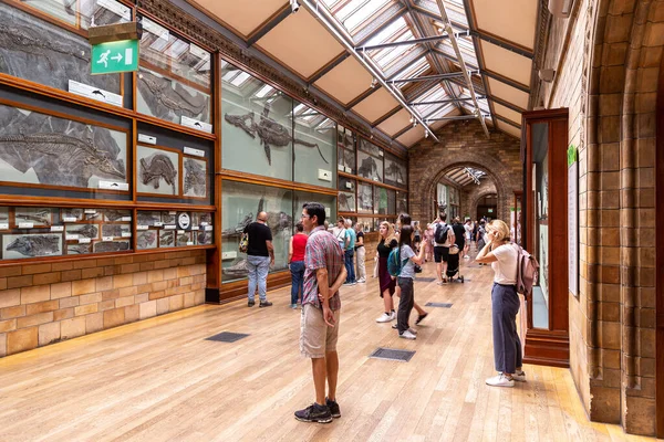 London Wielka Brytania Czerwca 2022 Wnętrze Muzeum Historii Naturalnej Londynie — Zdjęcie stockowe