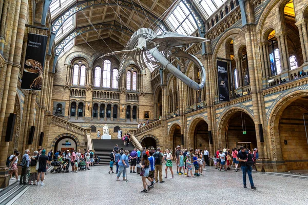 London Czerwca 2022 Wnętrze Muzeum Historii Naturalnej Londynu Szkielet Płetwala — Zdjęcie stockowe