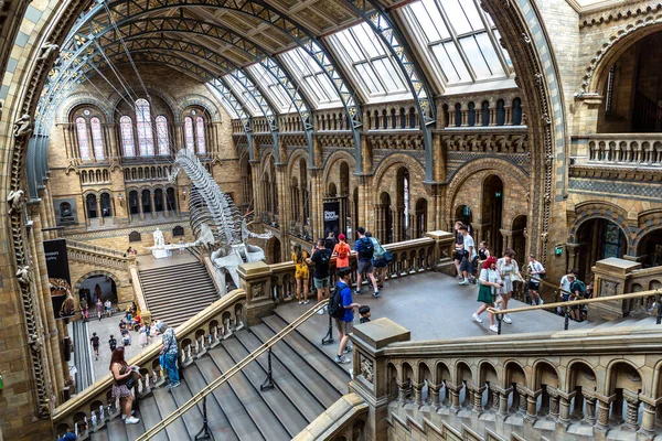 ロンドン 2022年6月18日 ロンドン自然史博物館の内部と英国ロンドンの本堂にある青い鯨骨 ストックフォト