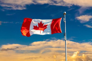 Kanada bayrağı güneşli bir günde mavi gökyüzüne karşı dalgalanıyor, Kanada