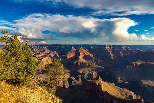 Grand Canyon National Park Powell Point Sunset Arizona Verenigde Staten — Stockfoto