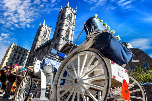 Häst Vagn Nära Basilikan Notre Dame Montreal Solig Dag Quebec — Stockfoto