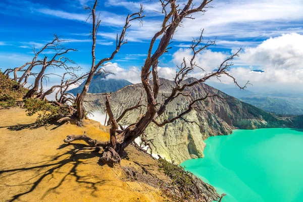 活火山イジェンと枯死木 ジャワ島 インドネシアのパノラマ航空ビュークレーター — ストック写真