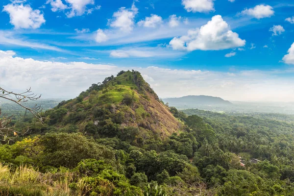 Parque Nacional Dambulla Dia Ensolarado Sri Lanka — Fotografia de Stock