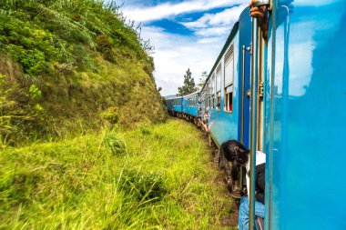 Nuwara 'da tren Eliya, Sri Lanka' da yaz günü