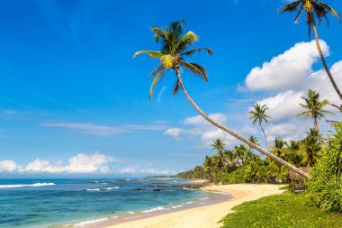Sri Lanka 'da güneşli bir günde kumsal
