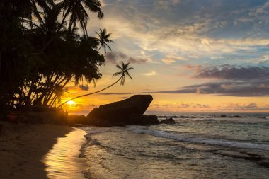 Sri Lanka 'daki Dalawella plajında gün batımı