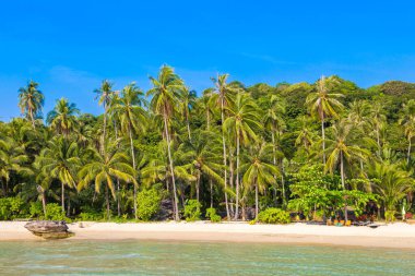 Güneşli bir günde güzel tropikal plajlar
