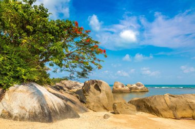 Bir yaz gününde güzel kayalık tropikal plaj