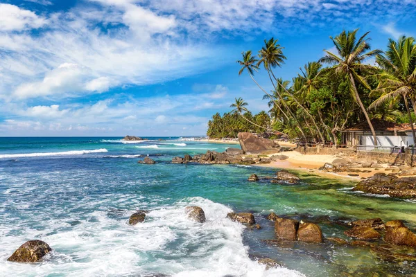 Скала Пальма Пляже Далавелла Солнечный День Шри Ланке — стоковое фото