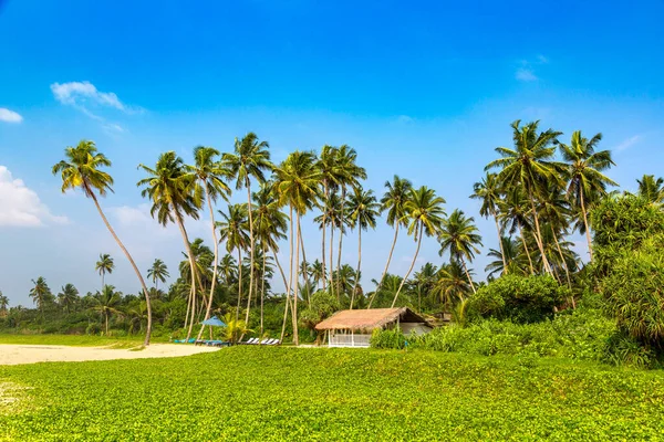 Shinagawa Tropical Beach Dia Ensolarado Sri Lanka — Fotografia de Stock