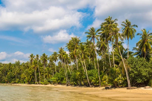 Piękna Tropikalna Plaża Letni Dzień — Zdjęcie stockowe