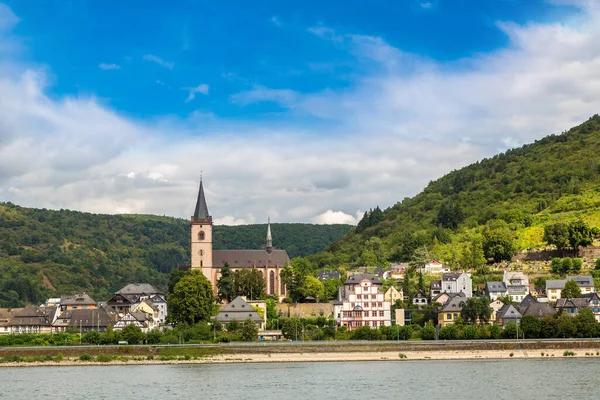 浪漫的莱茵河谷是德国美丽夏日的酿酒厂 — 图库照片