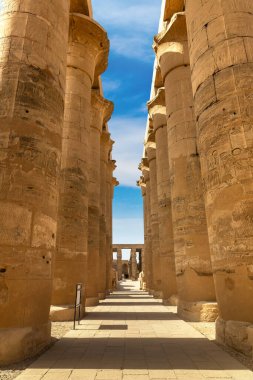Luxor Tapınağı güneşli bir günde, Luxor, Mısır