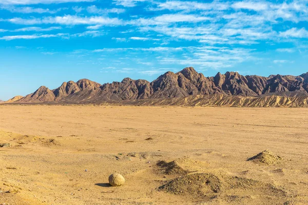 Sahara Desert Sunny Day Egypt — Stock Photo, Image