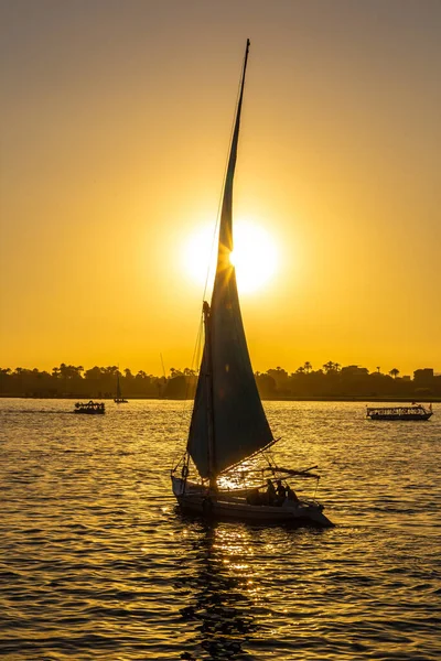 Sailboat Nile Sunset Summer Evening — Foto Stock