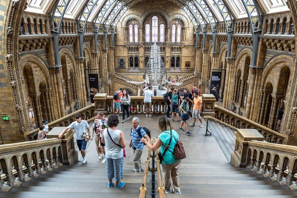 2022年6月18日 伦敦自然历史博物馆的内部和伦敦主大厅的蓝鲸骨架 — 图库照片