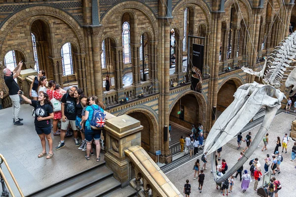 June 2022 Interior Natural History Museum London Blue Whale Skeleton — 스톡 사진