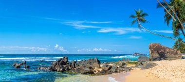 Sri Lanka 'da güneşli bir günde Dalawella Sahili' nde Kaya ve Palmiye Ağacı Panoraması