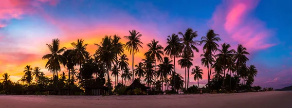 Panorama Silhueta Coqueiros Praia Tropical Pôr Sol — Fotografia de Stock