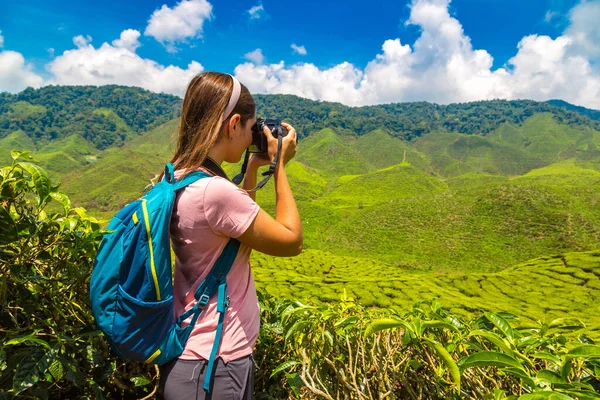 stock image Woman traveler hold a photo camera at  Tea plantations in a sunny day