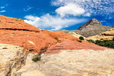 Las Vegas, Nevada yakınlarındaki Red Rock Kanyonu Ulusal Koruma Alanı, ABD