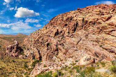 Las Vegas, Nevada yakınlarındaki Red Rock Kanyonu Ulusal Koruma Alanı, ABD