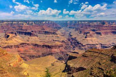 Grand Canyon National Park in a sunny day, Arizona, USA clipart