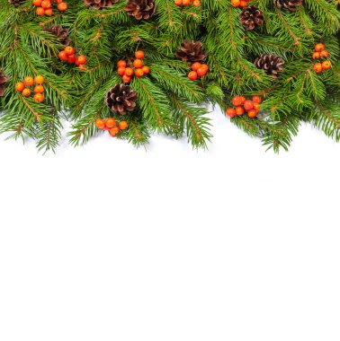 Beyaz arka planda koni ve kutsal böğürtlenli Noel yeşil çerçevesi