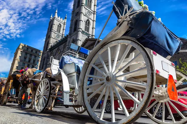 Carruagem Cavalos Perto Basílica Notre Dame Montreal Dia Ensolarado Quebec — Fotografia de Stock
