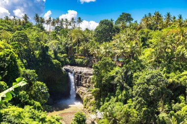 Endonezya Bali 'deki Tegenungan Şelalesi' nin güneşli bir günde panoramik görüntüsü