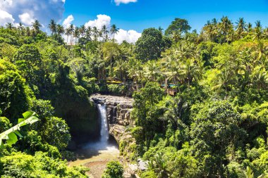 Panoramic view of Tegenungan Waterfall on Bali, Indonesia in a sunny day clipart