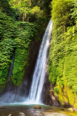 Munduk Şelalesi Bali, Endonezya 'da güneşli bir günde