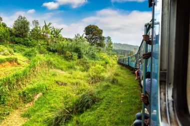 Nuwara 'da tren Eliya, Sri Lanka' da yaz günü