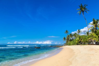 Sri Lanka 'da güneşli bir günde kumsal